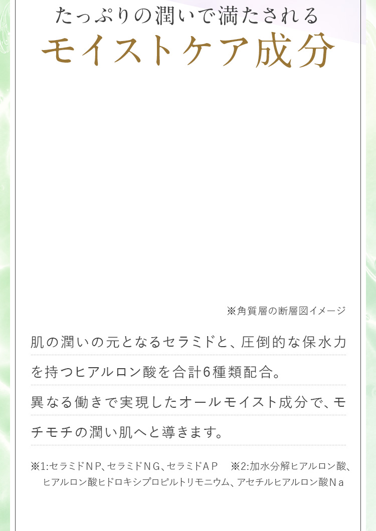 たっぷり潤いで満たされるモイストケア成分
