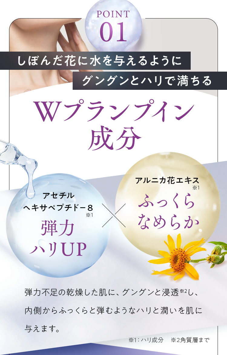 POINT01 Wプランプイン成分