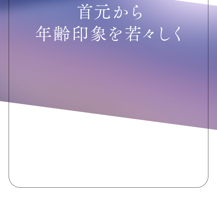 1本6役のオールインワン