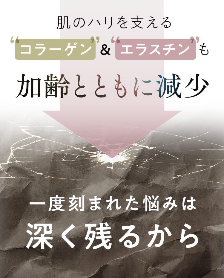 コラーゲン＆エラスチンも加齢とともに現象