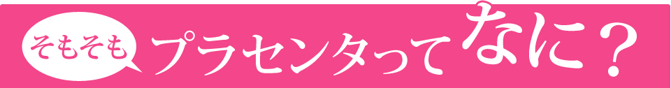 そもそもプラセンタってなに？