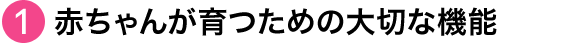赤ちゃんが育つための大切な機能