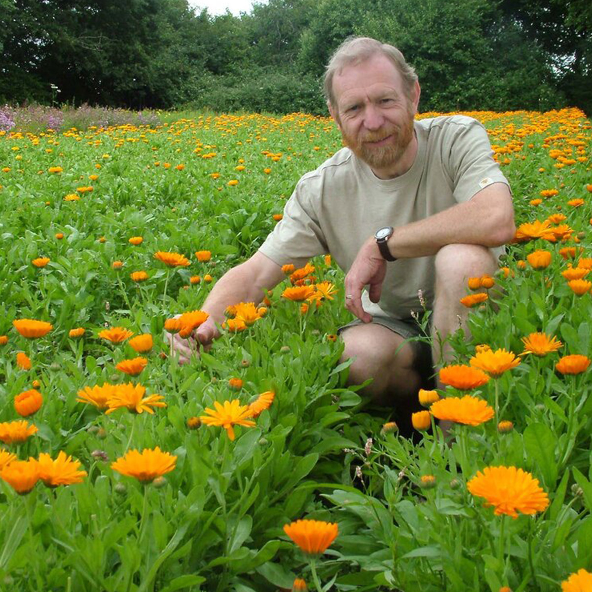 ハーブファーマシー植物学博士ポール・リチャーズ氏