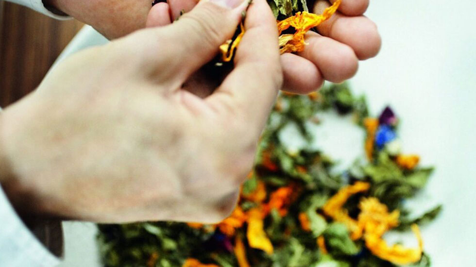 SONNENTOR - ゾネントア