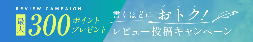 レビュー投稿
