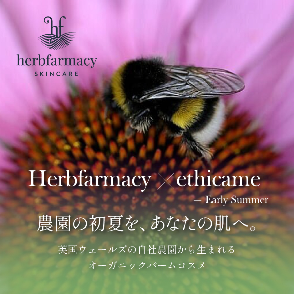 ethicame - エシカミー - エシカルなライフスタイルを楽しく