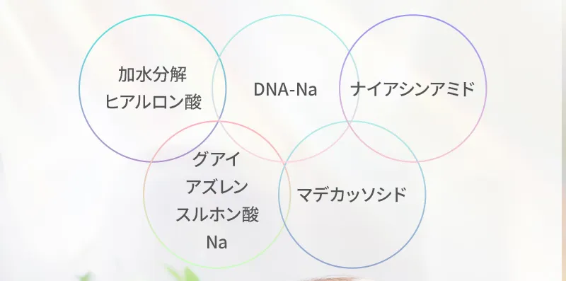 加水分解ヒアルロン酸 / DNA-Na / ナイアシンアミド / グアイアズレンスルホン酸Na / マデカッソシド