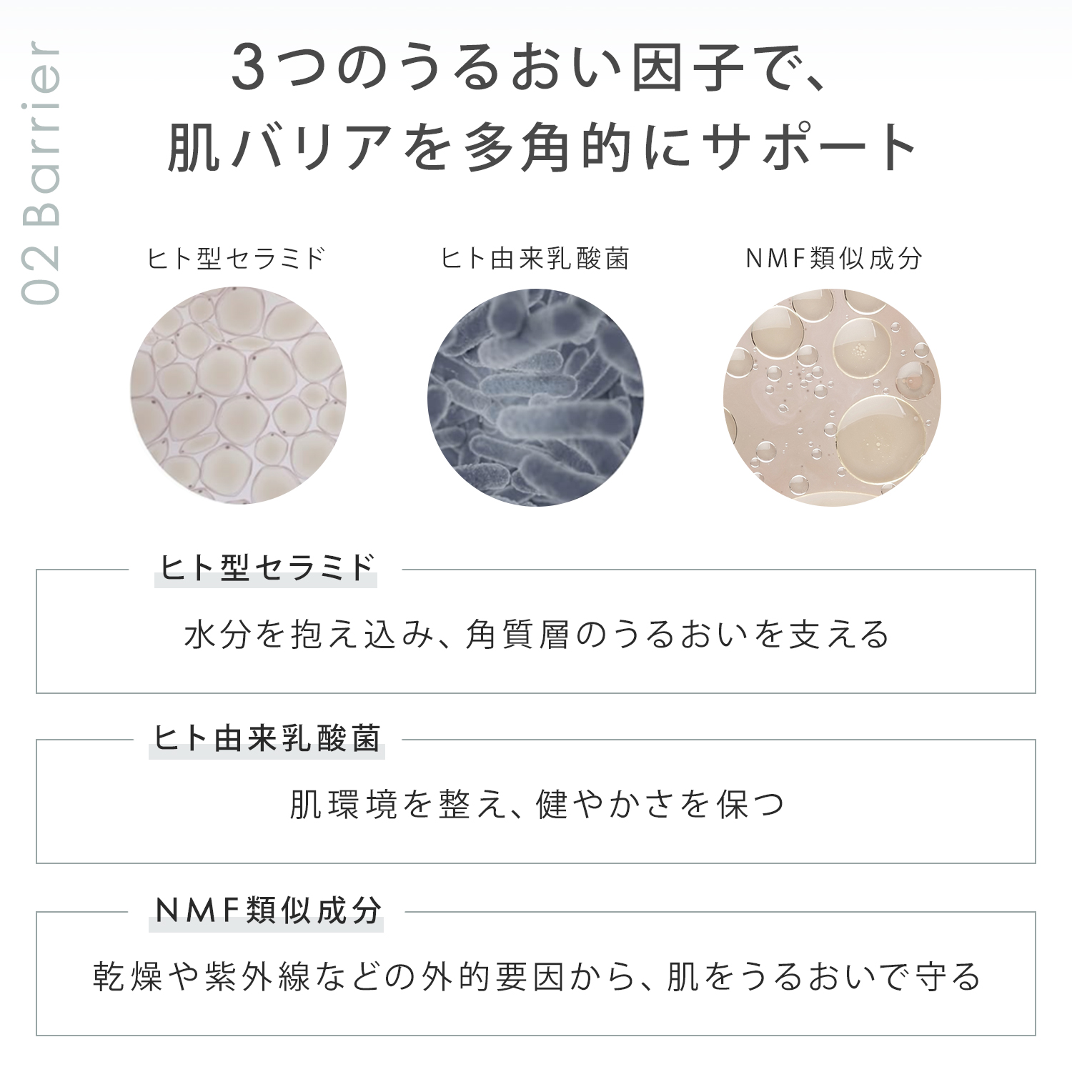 デイミルク・定期商品