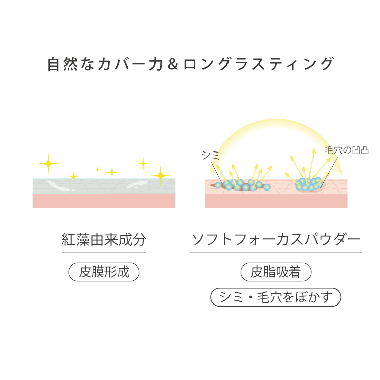 【SUMMERSALE】 ラスタークッションDC12g（レフィル）