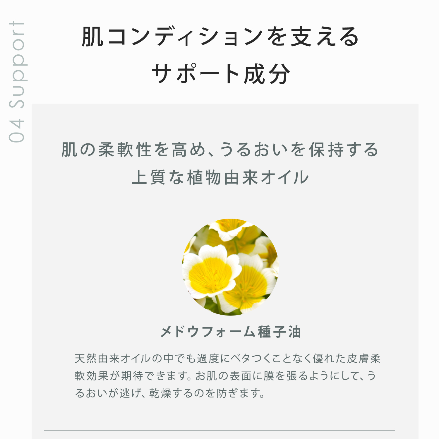 デイミルク 容量: 60mL