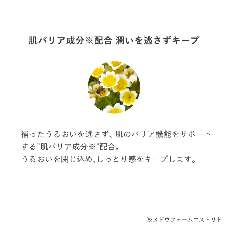 トリートメントスティック カラー: 00　クリア