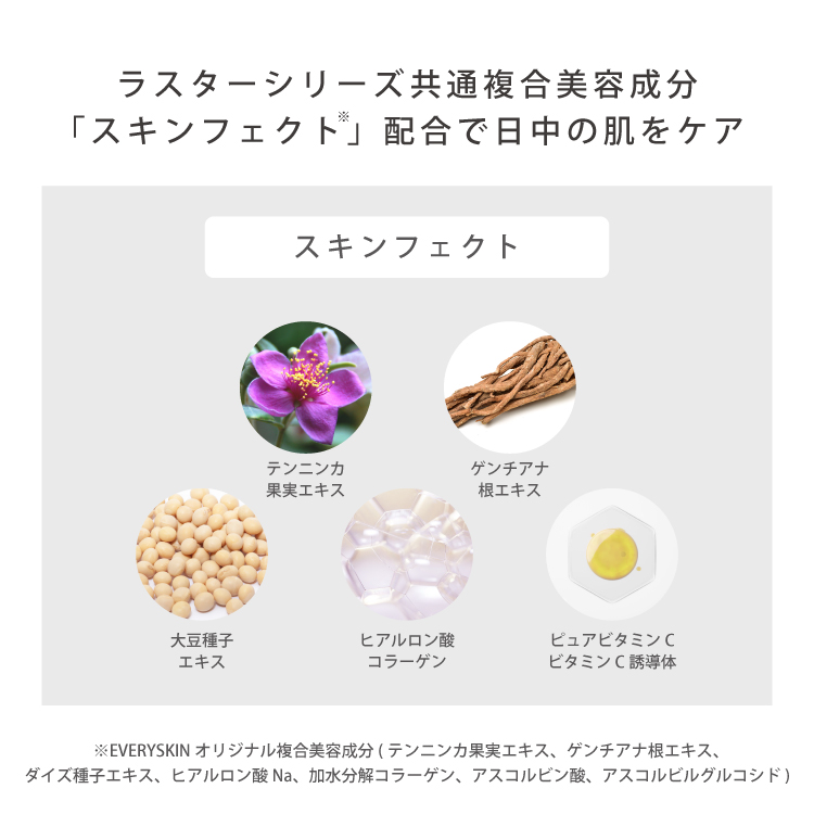 【SUMMERSALE】 ラスタークッションDC12g（レフィル）
