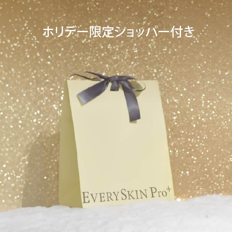 HolidayCollection2025｜Professional set