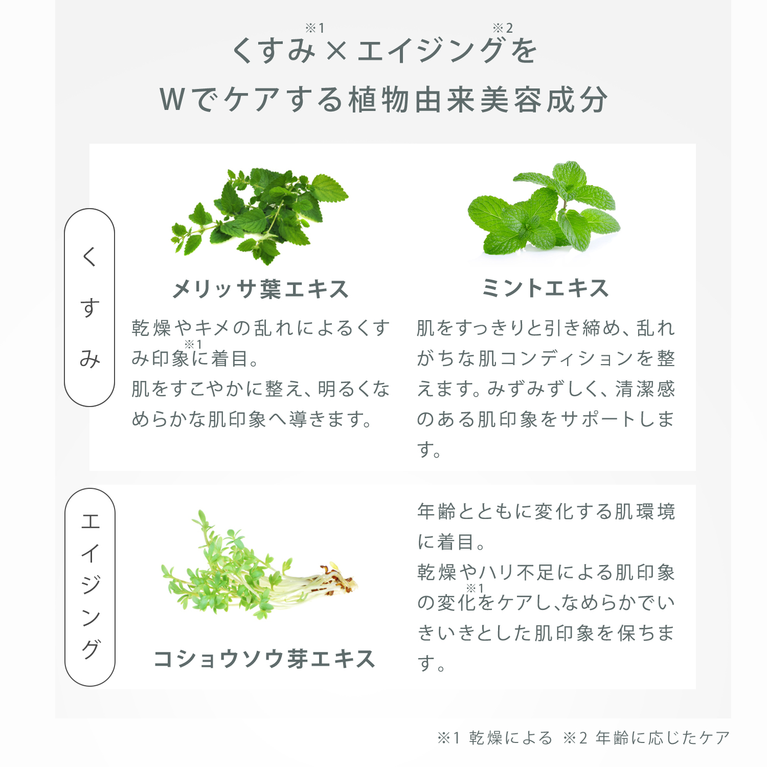 デイミルク・定期商品