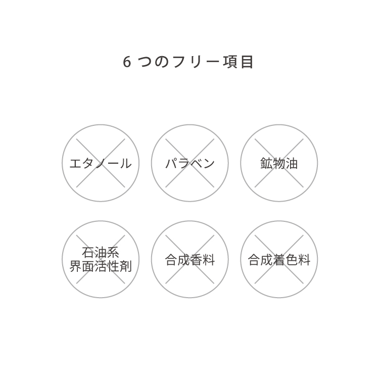EVERYSKIN Pro+　ビタミントナー