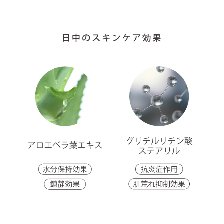 【SUMMERSALE】 ラスタークッションDC12g（レフィル）
