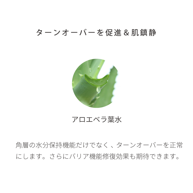 EVERYSKIN Pro+　ビタミントナー