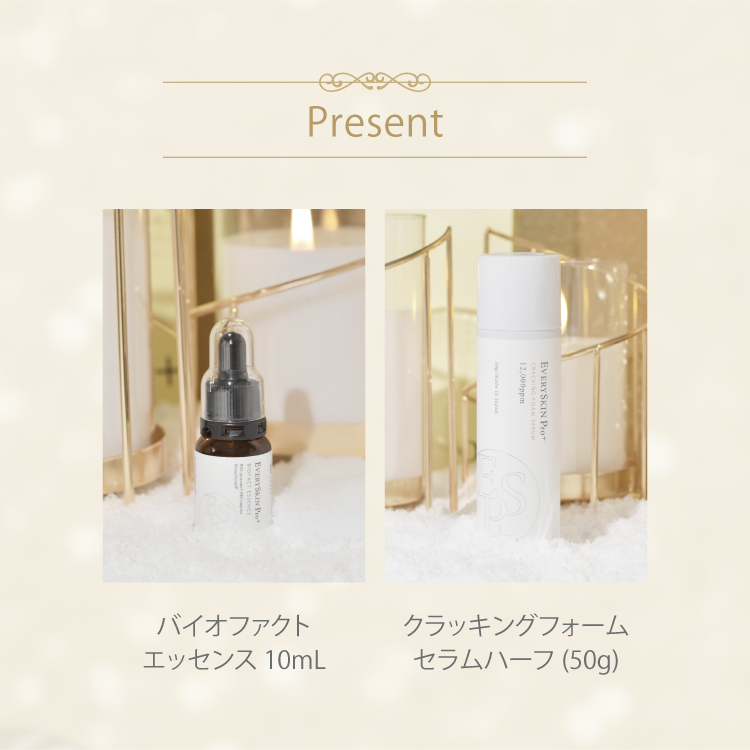 HolidayCollection2025｜Professional set