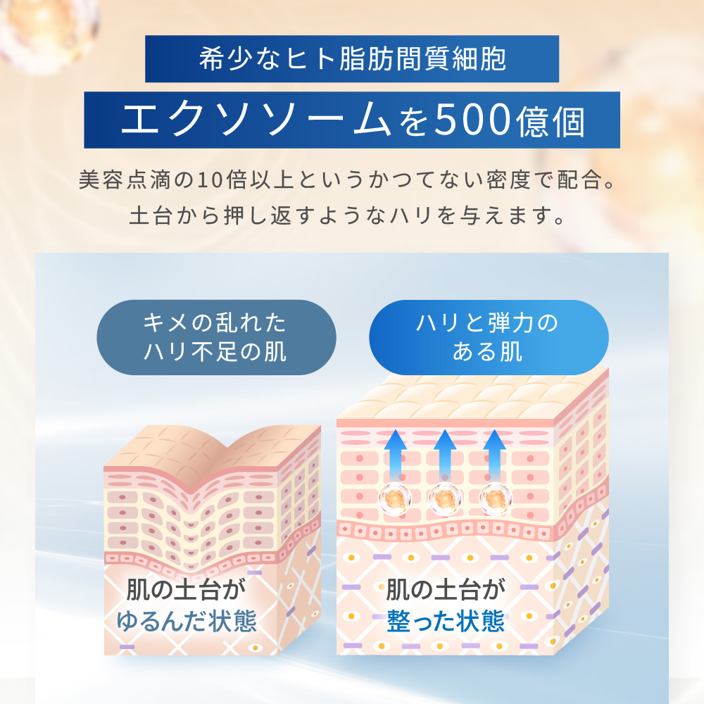 エクソプラス エッセンス（美容液）