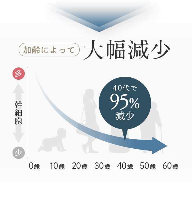 加齢によって大幅減少