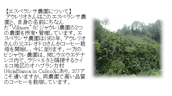 グアテマラベストセレクト 200g 形状: 豆