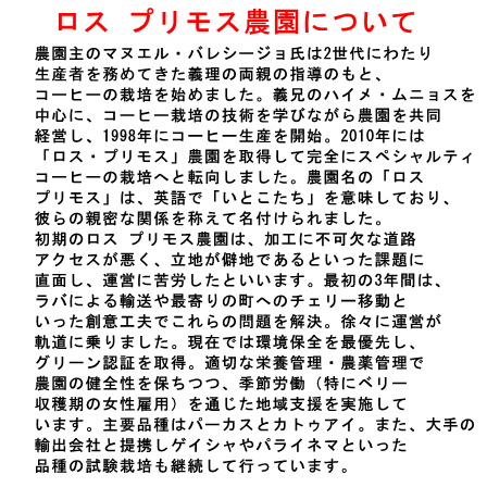 【完全予約限定販売】ホンジュラスCOEロス プリモス100g 形状: 豆