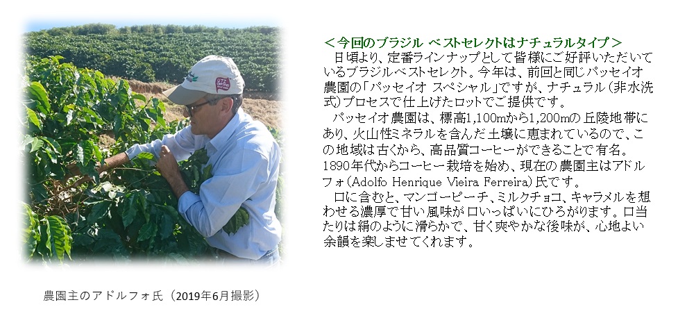 【メール便】ブラジルベストセレクト(契約農園) 300g 形状: 豆