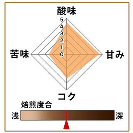 【完全予約限定販売】ホンジュラスCOEロス プリモス100g 形状: 豆
