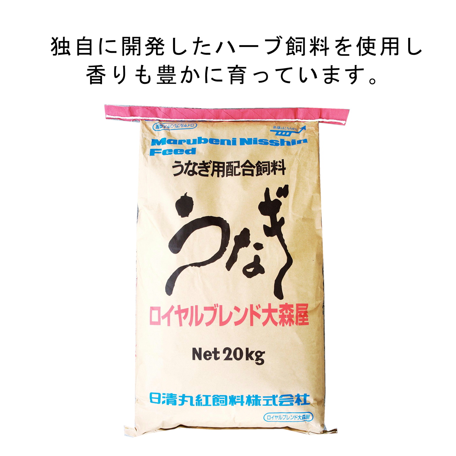 ファディ 宮崎産 うなぎ蒲焼 [たれと山椒付] (無頭1尾・約160g)