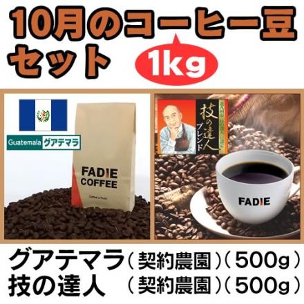 【送料無料】10月のコーヒー豆1kgセット(グアテマラ500g 技の達人500g) 形状: 豆