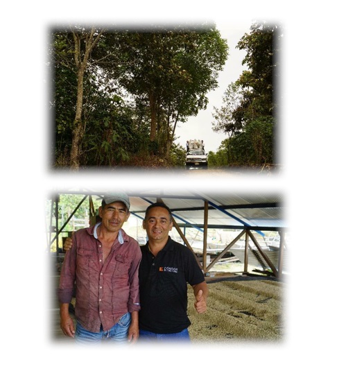 【メール便】コロンビアベストセレクト300g 形状: 豆