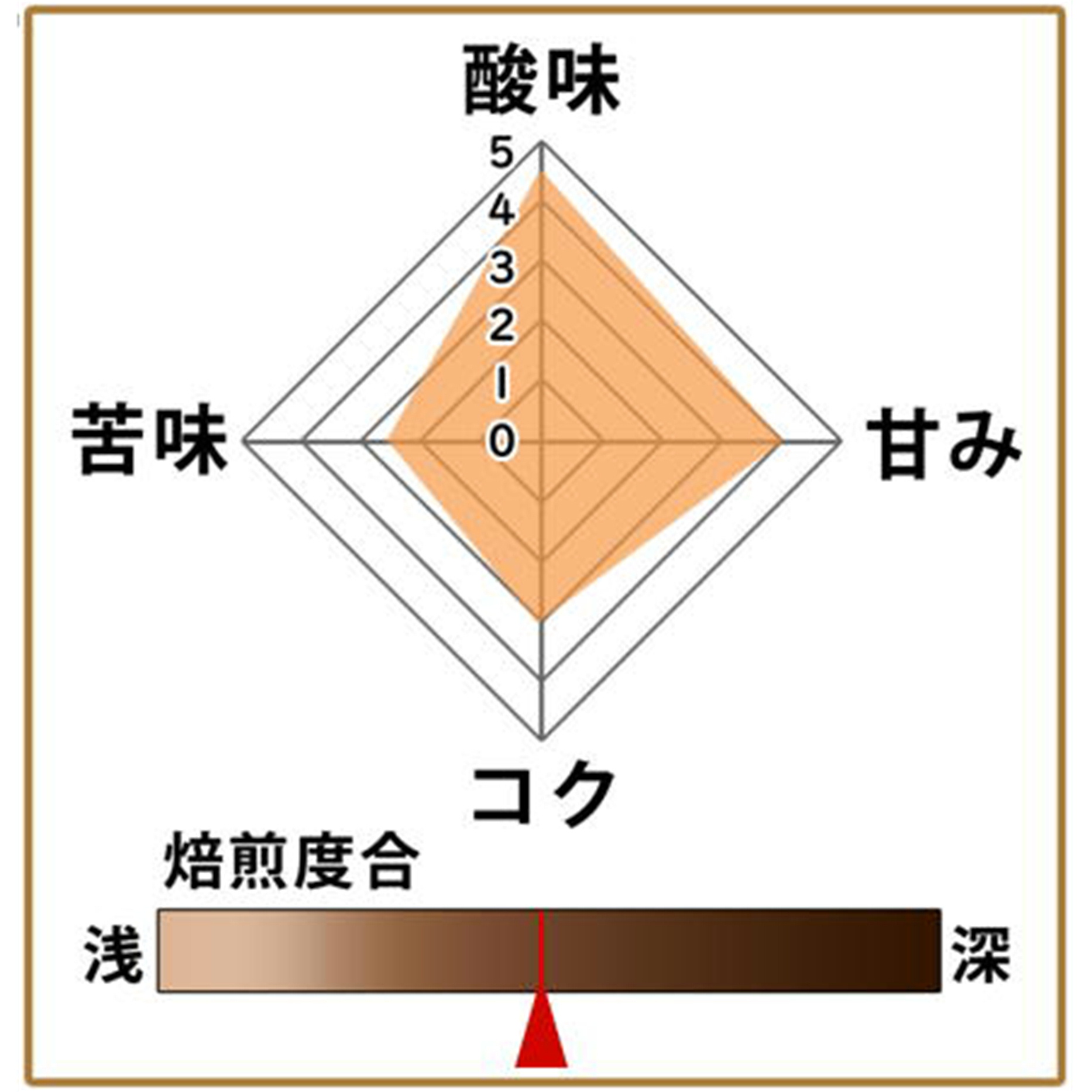 モカ100g 形状: 豆
