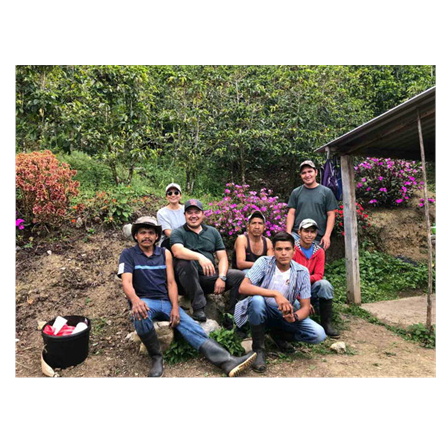 【完全予約限定販売】ホンジュラスCOEロス プリモス100g 形状: 豆