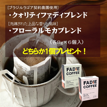 2026年新春福袋セット コーヒー(コロベスブラベス0.2秋コレ0.1)500g 形状: 豆