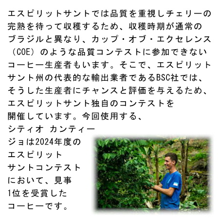 【完全予約限定販売】ブラジル シティオ カンティージョ100g 形状（豆or粉）: 豆