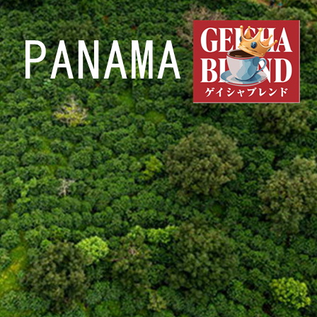 【数量・期間限定】ゲイシャブレンド500ｇ 形状（豆or粉）: 豆