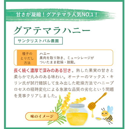 グアテマラハニー サンクリストバル ハニープロセス精製(契約農園) 100g 形状: 豆