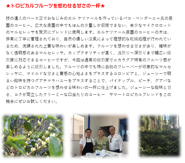 【期間限定】サマートロピカルブレンド500g 形状: 豆