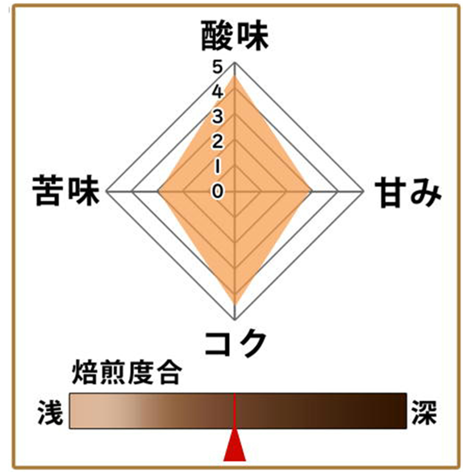キリマンジャロ500g 形状: 豆
