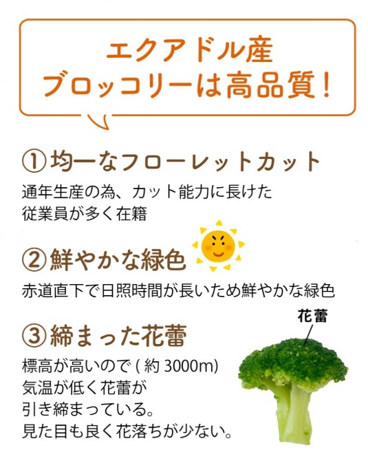 ニチレイ ブロッコリーM エクアドル産 500g