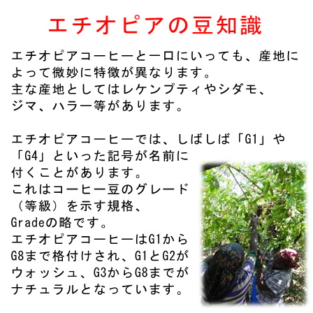 モカブレンド0.9ｋｇ（180ｇ×5個） 形状: 豆