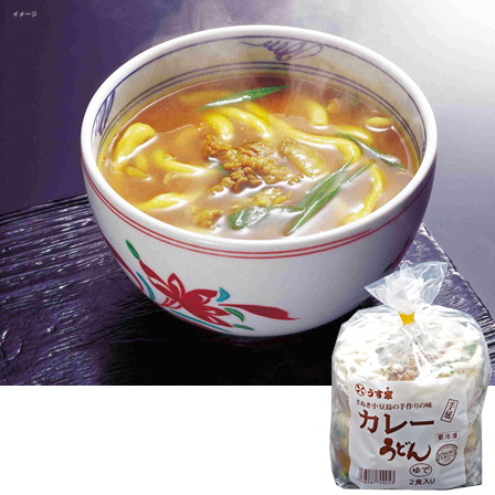 うす家 讃岐小豆島 手延べうどん カレー 500g×2食入