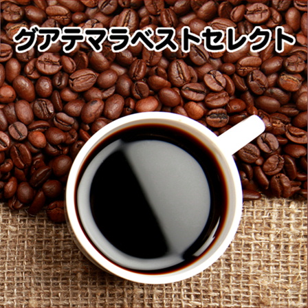 グアテマラベストセレクト 100g 形状: 豆