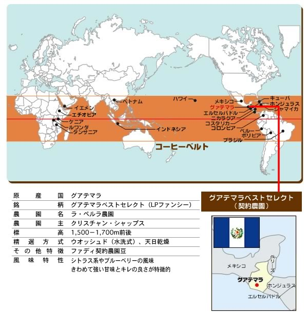 グアテマラベストセレクト（契約農園） 100g 形状: 豆