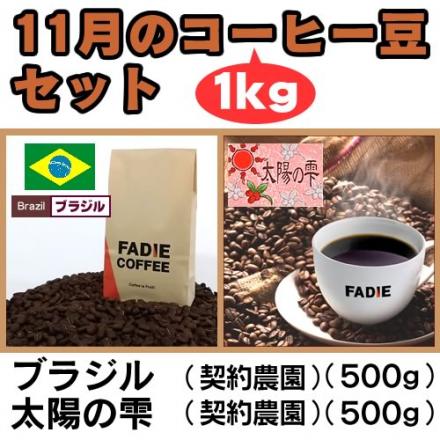 【送料無料】11月のコーヒー豆1kgセット(ブラジル500g 太陽の雫500g) 形状: 豆