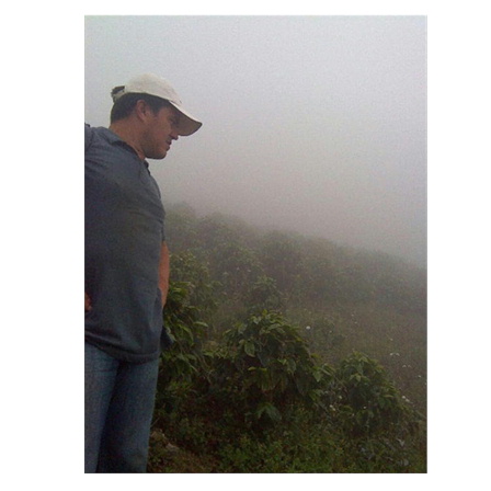 【完全予約限定販売】ホンジュラスCOEロス プリモス100g 形状: 豆