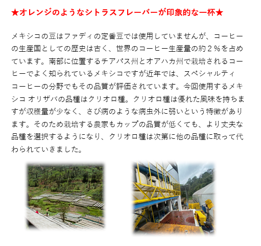 【期間限定】メキシコシトラスブレンド100ｇ 形状: 豆