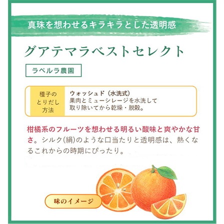 グアテマラベストセレクト 200g 形状: 豆