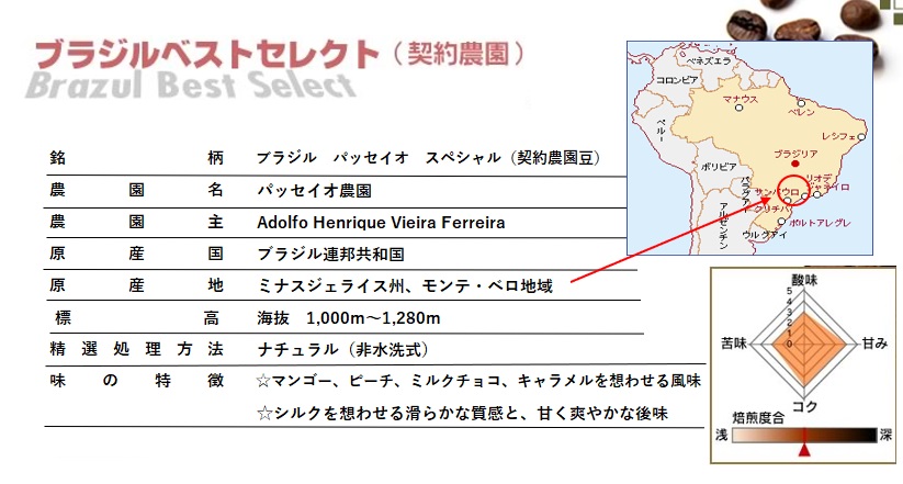 【メール便】ブラジルベストセレクト(契約農園) 300g 形状: 豆