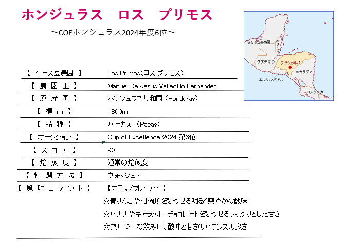 【完全予約限定販売】ホンジュラスCOEロス プリモス100g 形状: 豆